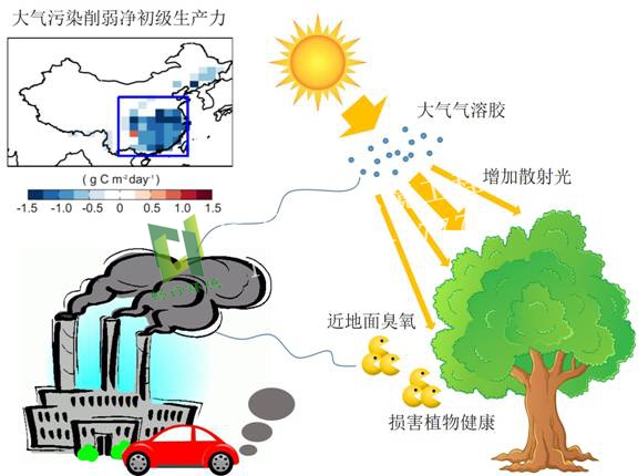 大气污染的危害和防治