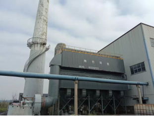 黑龙江大庆热电厂116MW热水锅炉除尘项目